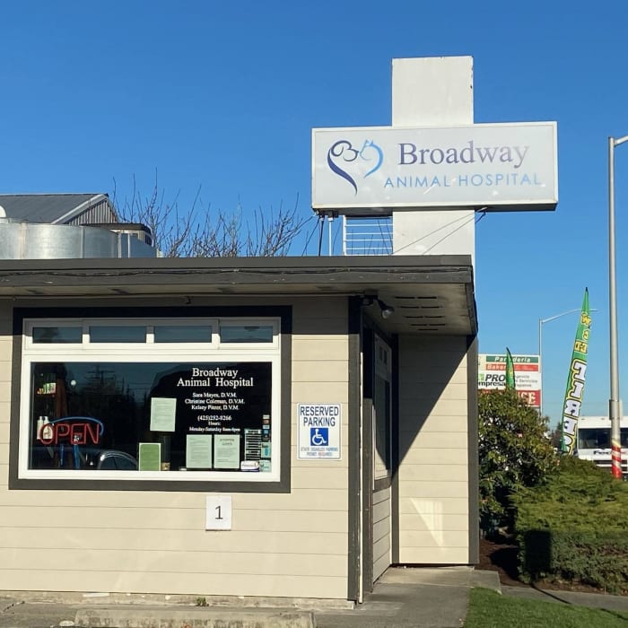 Broadway Animal Hospital in Everett